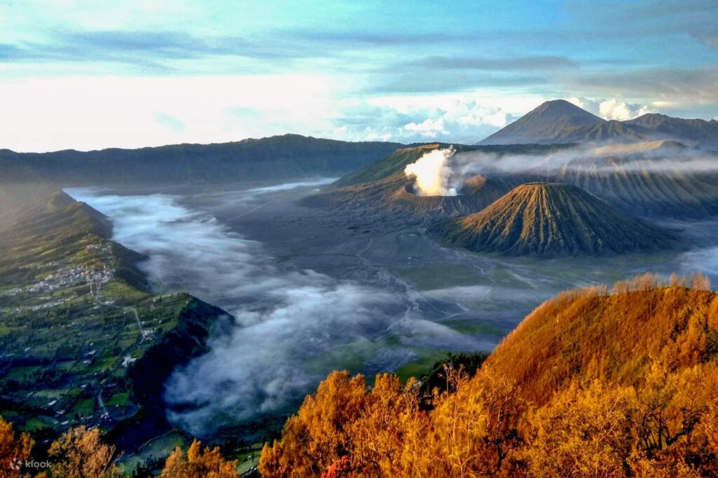 all about bromo