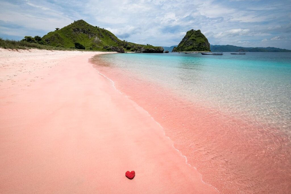 Komodo's Pink Sand
